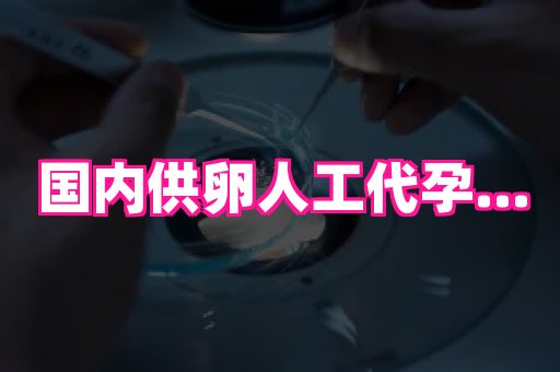 贵州助孕网站 2