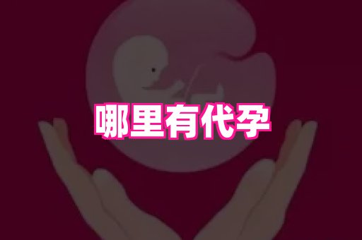 贵州助孕网站 4